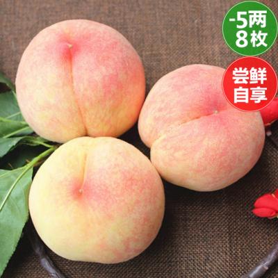 4-5两*8枚装-自享型