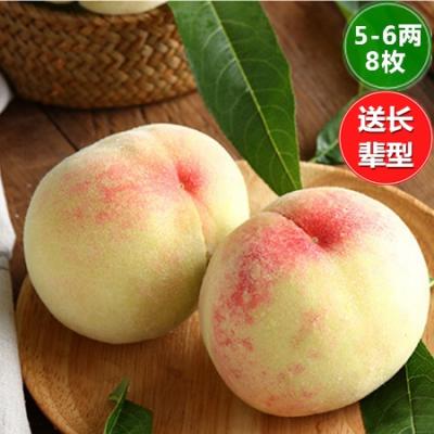 5-6两*8枚装-送长辈型