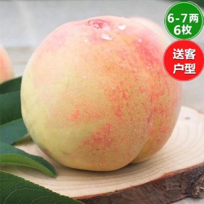 6-7两*6枚装-送客户型