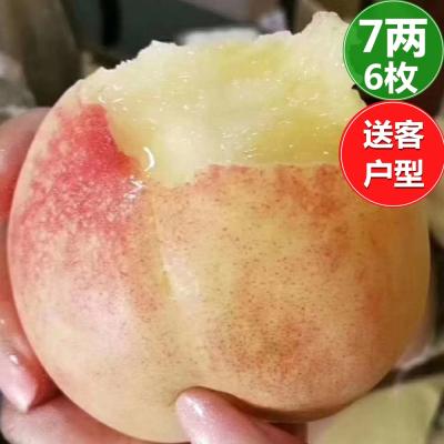 7两*6枚装-送客户型
