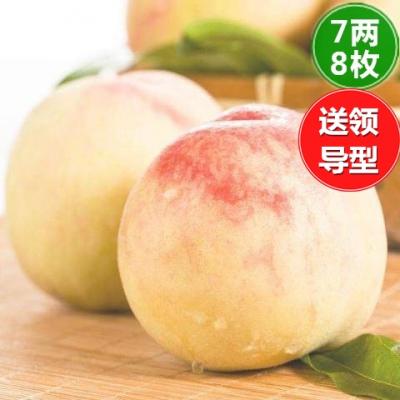 7两*8枚装-送领导型
