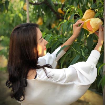 【自驾游登记】上门自提/自驾游采摘无锡阳山水蜜桃，上门进桃园采摘水蜜桃